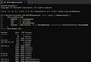 PowerShell 01.png